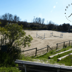 Equestria Dressage Club, escuela de equitación