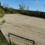 Equestria Dressage Club, escuela de equitación