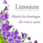 Limonium, Arte Floral