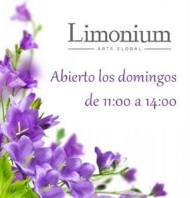 Limonium, Arte Floral