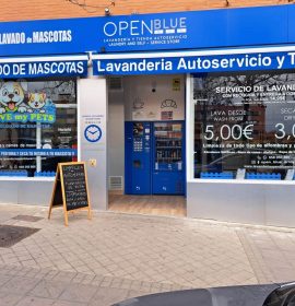 LAVANDERÍA OPEN BLUE ARROYO